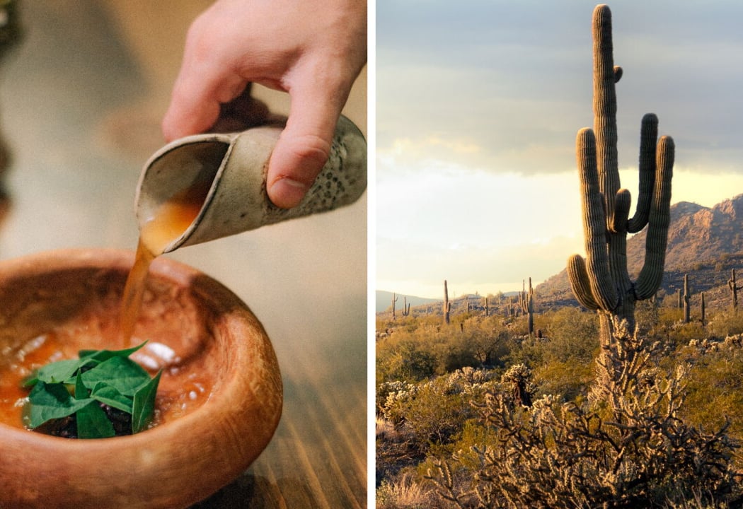 Taste the Desert 5